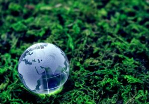 eco (1)