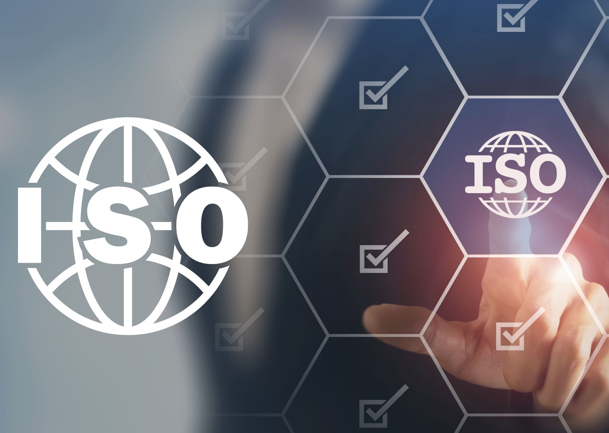 ISO & HACCP Studies