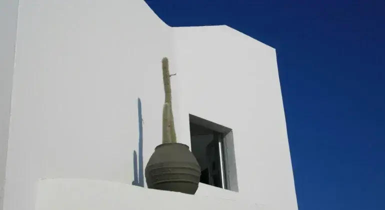 Architectural Design