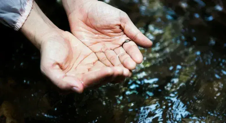 Water Resources Management